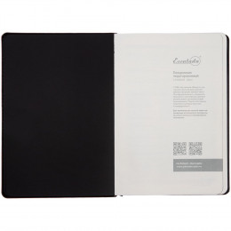 Ежедневник Alanis, недатированный, черный с фиолетовым