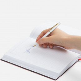 Ручка шариковая Euro Gold, белая