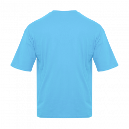 Футболка унисекс оверсайз STAN хлопок 140, 39