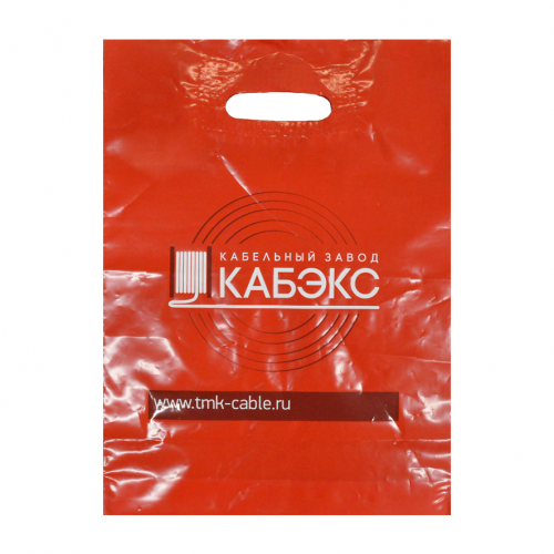 Пакет цветной, с печатью (2+0)  20х30
